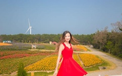 四虎影视在线观看2019a